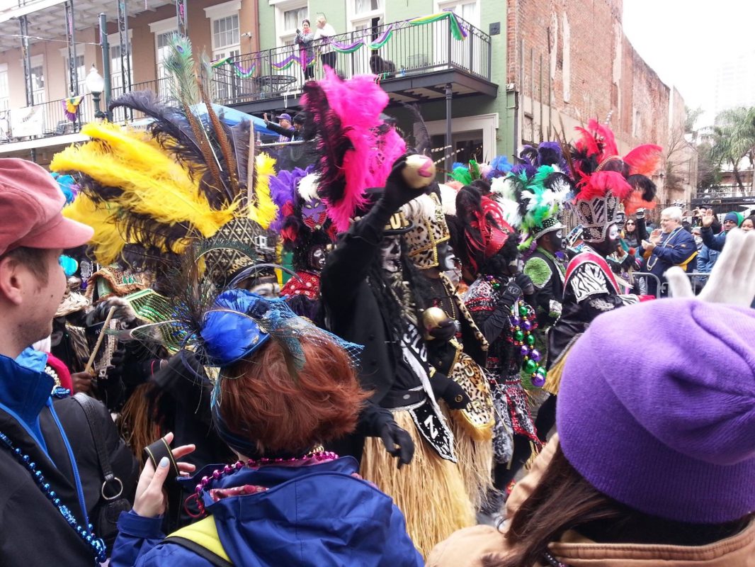 zulu krewe mardi gras